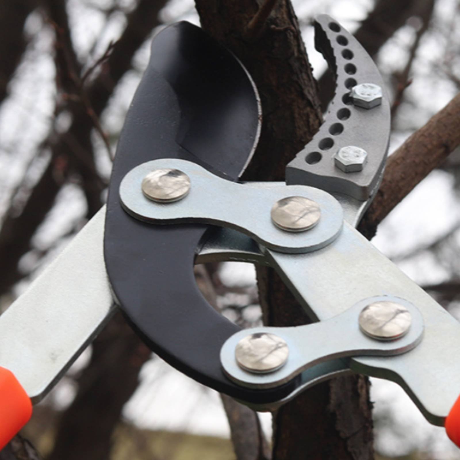 Telescopic Branch Pruners Shar - Garden Tools 评论和价格