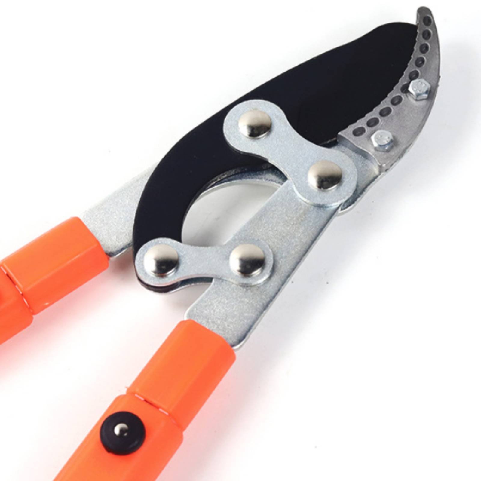 Telescopic Branch Pruners Shar - Garden Tools 评论和价格